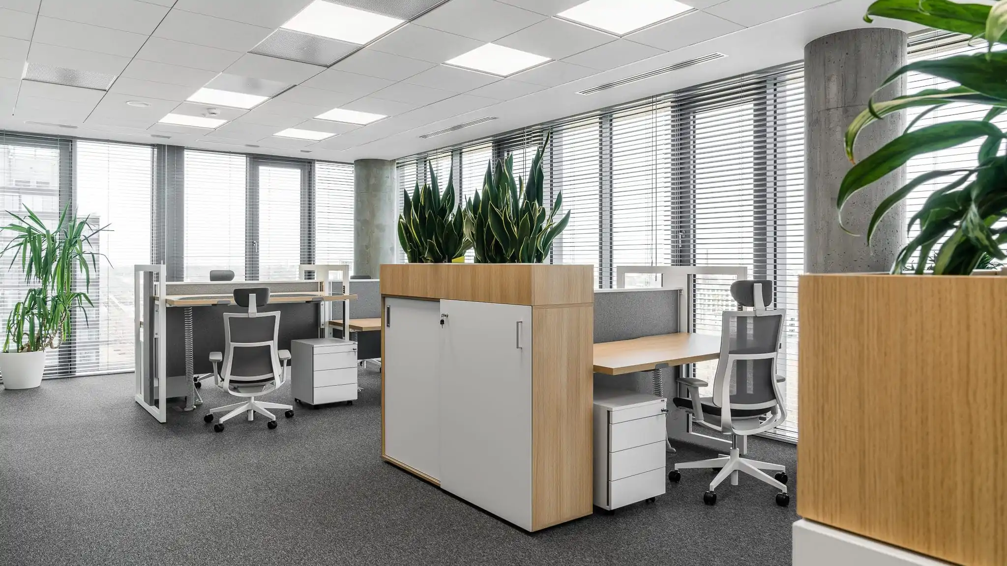 BIURO OPEN SPACE
