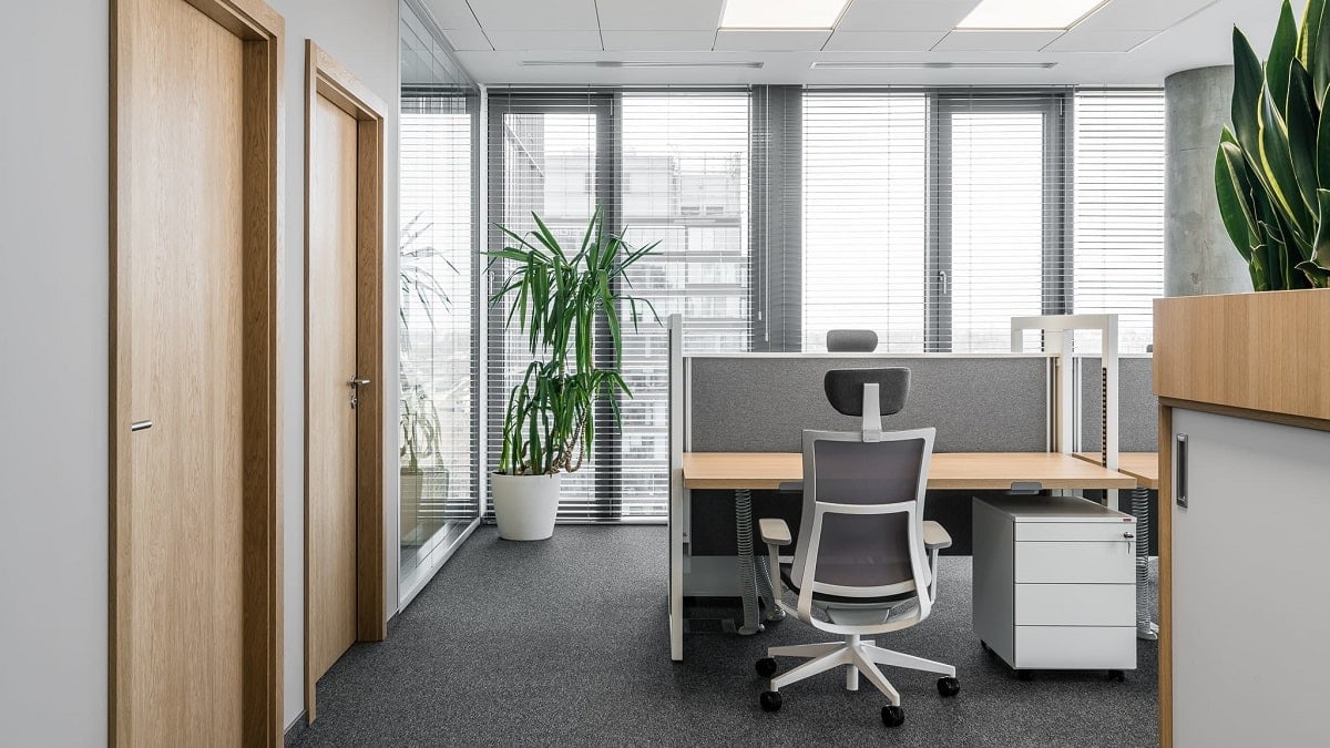 What is it like to work at STAND UP R?