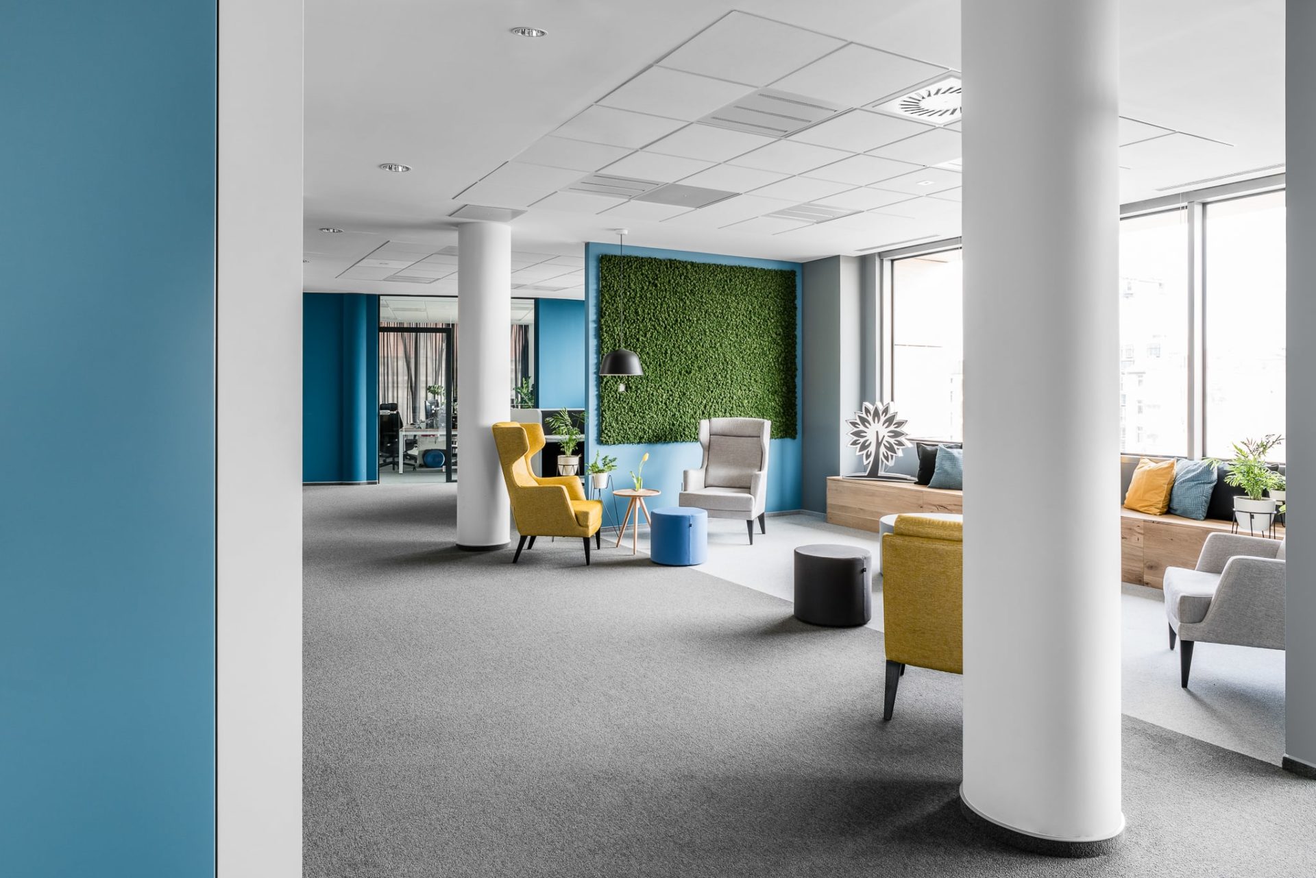 Tło - następna realizacja: TBSCG