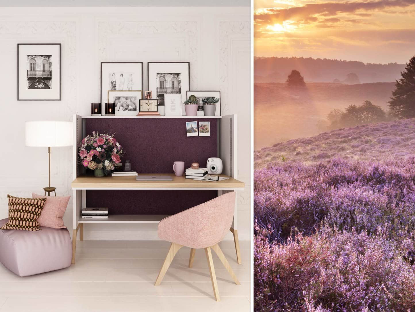 Zdjęcie produktu: NEST