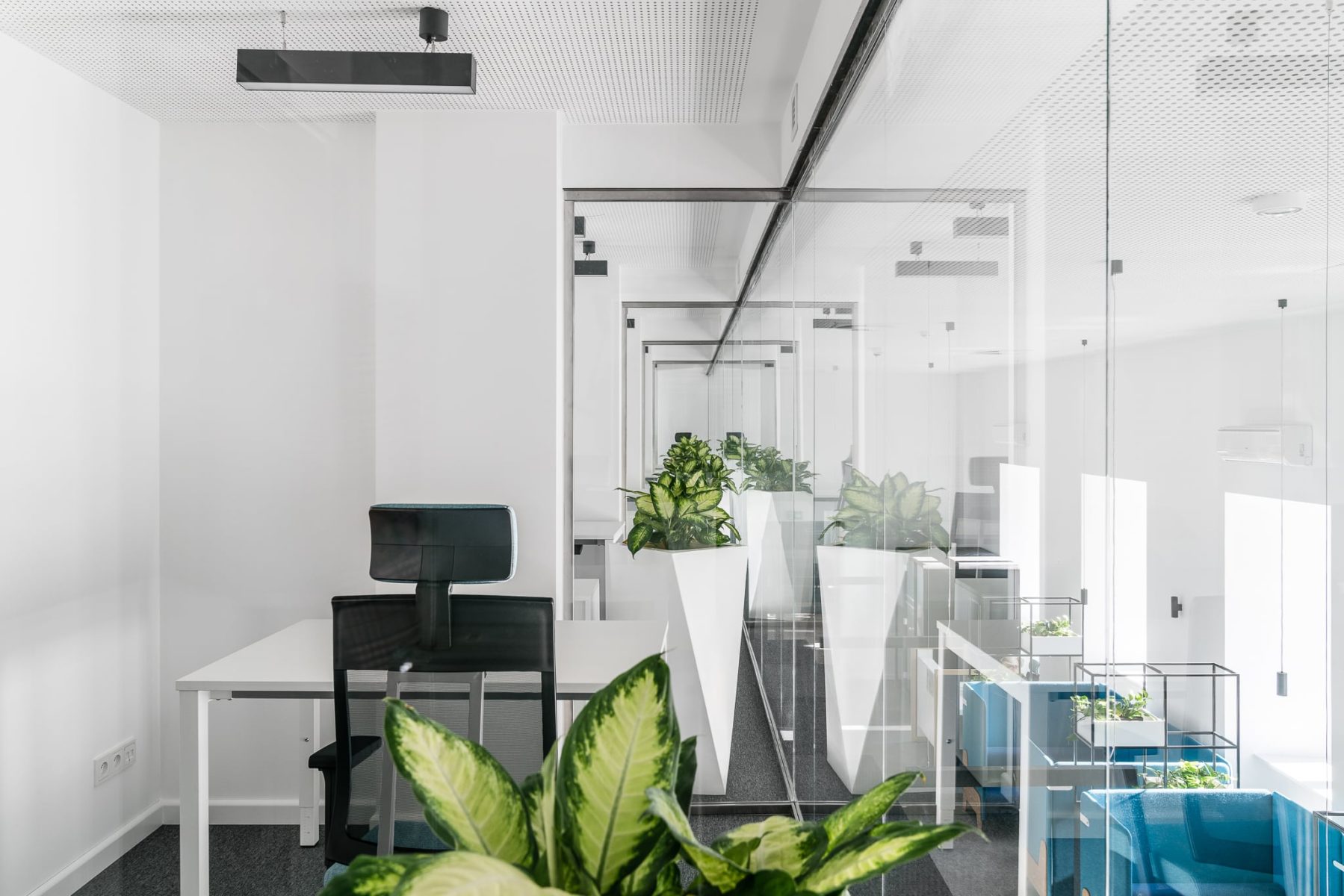 Zdjęcie realizacji: National Chamber of Commerce