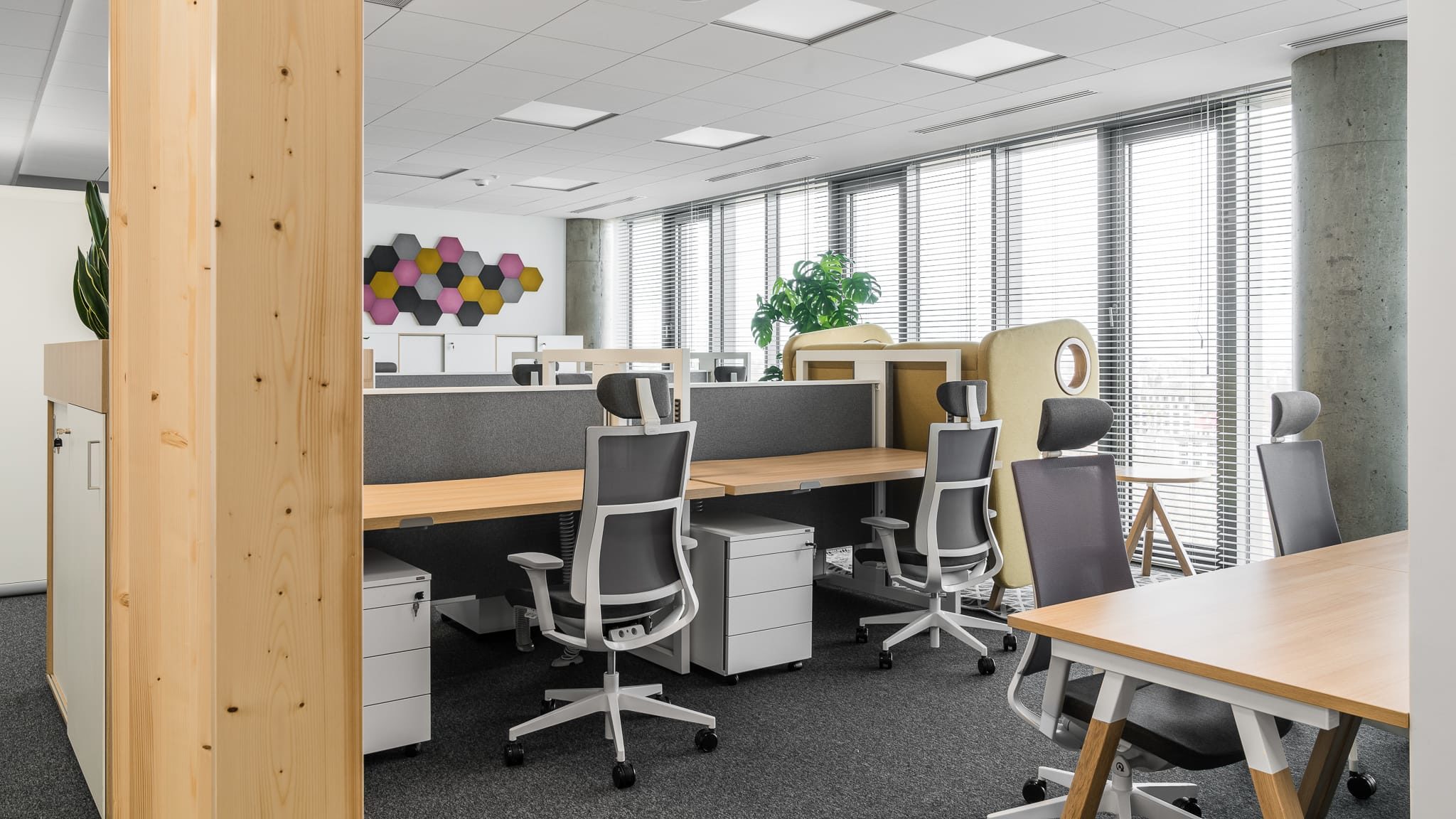 Zdjęcie realizacji: Edwards Lifesciences