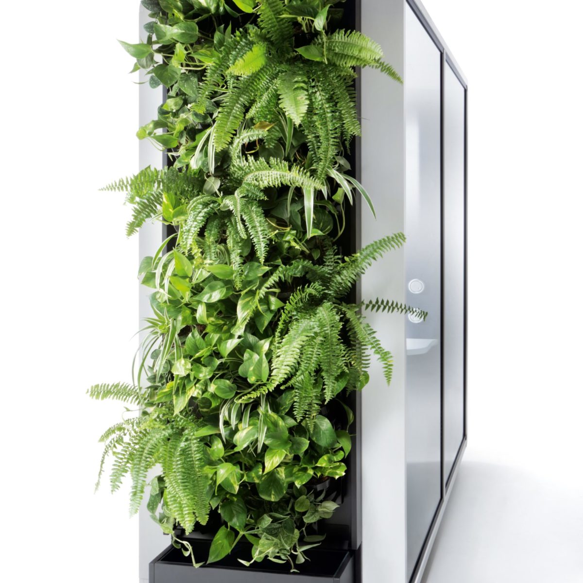 Zdjęcie produktu: Green Walls for hush
