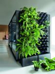 Zdjęcie produktu: Green Walls for hush
