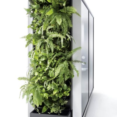 Green Wall for hush